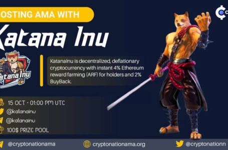 Is Katana Inu (KATA) A Good Investment?