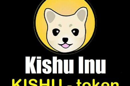 Is Kishu Inu (KISHU) a Good Investment?