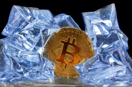 Mid-Way Cool Down: Analysts Believe Bitcoin Price Cycle Is Incomplete, Trader Says BTC’s ‘Next Move Should Be Cycle’s Top’