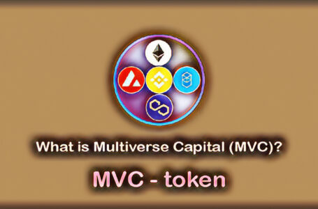 What Is Multiverse Capital (MVC)?