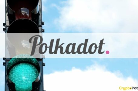 Centrifuge Wins Polkadot’s 9th Parachain Slot