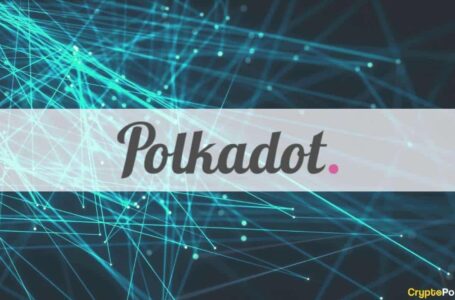 Enjin’s Efinity Won Polkadot’s Sixth Parachain With $214M Raised