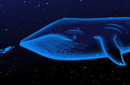 Whale Watch: A Deep Dive Into the Concentrations of Large Crypto Holders