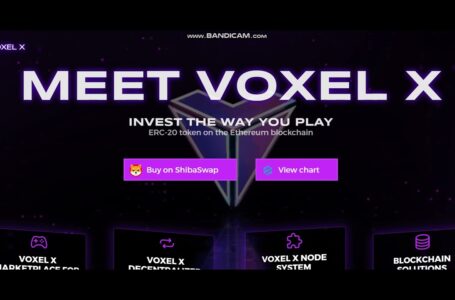 Voxel X Network (VXL) Review: Everything You Need To Know