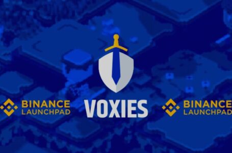 Voxies (VOXEL) Review: Everything You Should Know