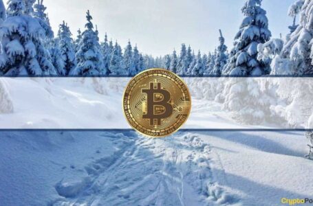 Bitcoin Won’t Bottom Until It Retests $28,500, Believes BitMEX Co-Founder Arthur Hayes