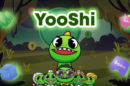 Everything You Need Know About YooShi (YOOSHI)