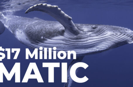 ETH Whales Grab $17 Million Worth of MATIC: Details