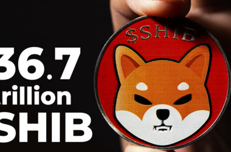 36.7 Trillion SHIB Whale Expands Portfolio, Here’s What He Acquires
