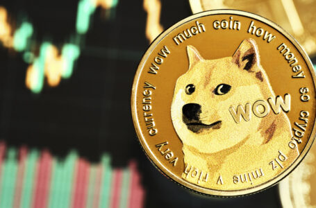 Dogecoin Community Reaches Major Milestone