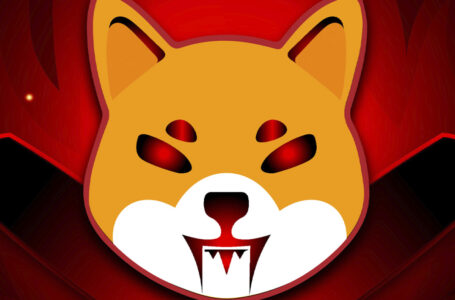 56.3 Million SHIB Burned in Past 24 Hours, While Big Burn Party Is Expected in One Week