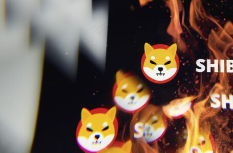36.8 Million Shiba Inu Burned, While Over 186 Million Will Be Destroyed in a Few Days: Details