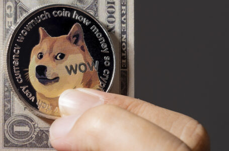 Dogecoin Returns Among Top Purchased Tokens by Whales; Here’s How Much They Own
