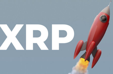 XRP Skyrockets 50%, While 315 Million Coins Get Moved by Exchanges