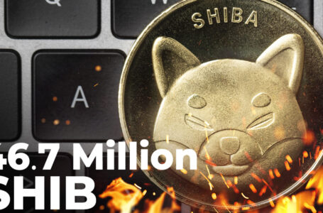 46.7 Million SHIB Burned in Over 24 Hours, While Burn Pot of This Company Rises to 191 Million Tokens