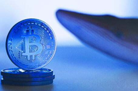 220,000 BTC Bought by Bitcoin Whales Since December, Quickest Accumulation Since Late 2019: Santiment