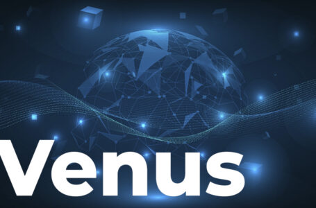 Venus To Launch Grant Programs For Incentivizing Ecosystem Development