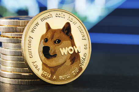 Dogecoin Reaches New Milestone in Holders, Top Whales Accumulate 324 Million DOGE