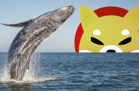 36.8 Billion SHIB Bought by Several Whales Just Now: Details
