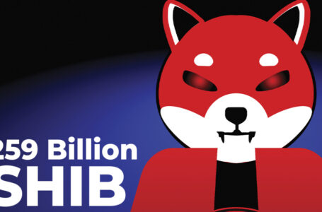 259 Billion SHIB Burned, Over Billion to Be Gone Next Week: Owner of Business That Burns SHIB