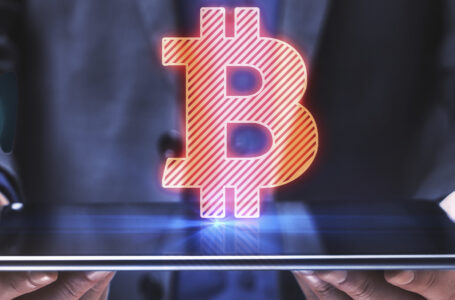 Bitcoin Active Users at Peak Levels Amid Latest Price Drop