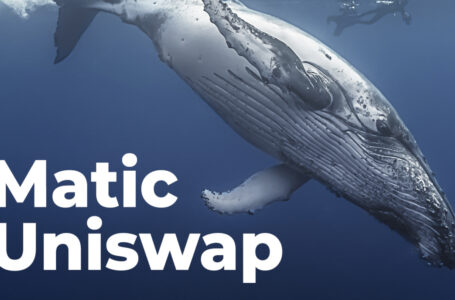 Matic, Uniswap Among Most Purchased Tokens by Whales as Market Dips