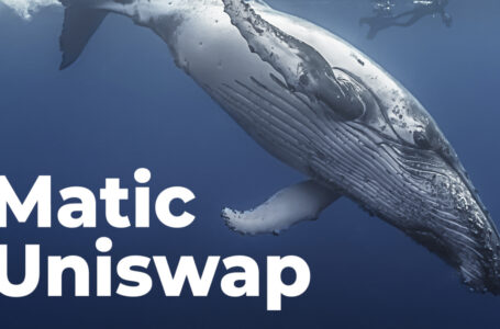 Matic, Uniswap Among Most Purchased Tokens by Whales as Market Dips