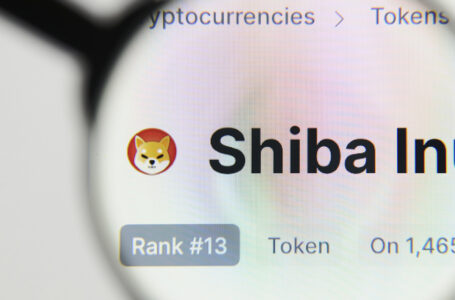 Over $1.5 Billion in SHIB Owned by Ethereum Whales as Coin is Back on Their Top 10 Holdings List