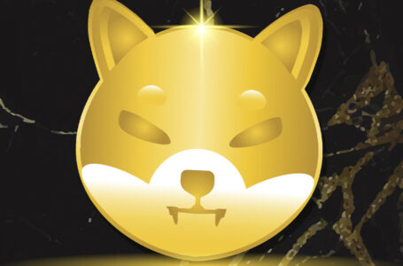 Here’s How Community Can Burn 1 Trillion SHIB Quickly: SHIB-Related Business Owner