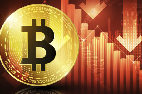 Peter Schiff Shares Bearish Technical Pattern, Predicts Rapid Bitcoin Crash