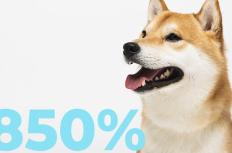 Shiba Inu’s Net Flow Spikes 850%, Buying Power Returns to Markets