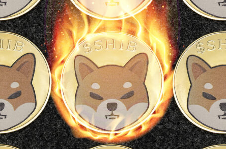 Here Is How 1 Billion SHIB Tokens Might Be Burned This Week: Crypto Burner Creator