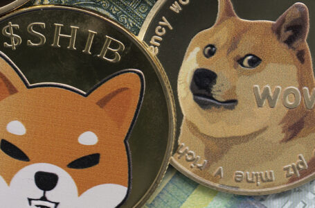 Shiba Inu and Dogecoin Facing Strong Price Increase as Crypto Market Recovers