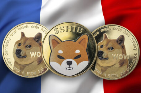Shiba Inu and Dogecoin Among Most Desirable Cryptocurrencies in France: Report