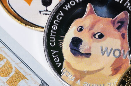 Top Dogecoin Dev Ross Nicoll Says He’s Stepping Away from Dogecoin, Here’s Why