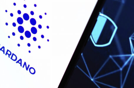 Cardano Sees Significant Growth in On-Chain Activity as New Addresses Spike 167%