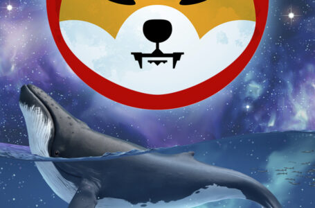 $2 Billion in SHIB Now Held by ETH Whales as Their Bet on Token Increases