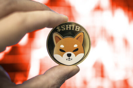 120 Million SHIB Burned in 24+ Hours as Token Hit $0.000032