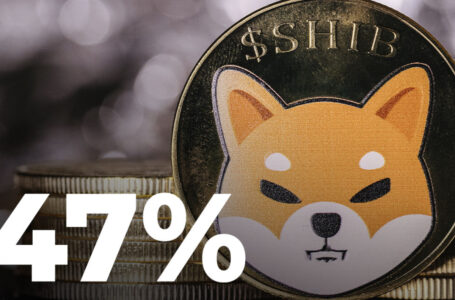 Shiba Inu Transactions Greater Than $100K Spike 47% Over 24 Hours, Here’s What This Might Mean