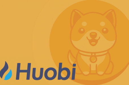 BabyDoge Spikes 13% on Huobi Listing