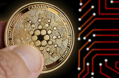 Cardano Successfully Implements Major Update, Finder Shares Crazy ADA Price Prediction