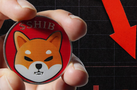 Shiba Inu Sees Double-Digit Losses as Bitcoin Drops Below $38,000