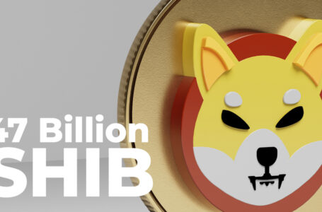 Ethereum Whale Buys 47 Billion Shiba Inu Tokens While Holding $116 Million Worth of SHIB