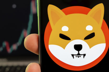 324 Million SHIB Burned This Month by This Major Token Burner