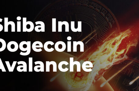 Shiba Inu, Dogecoin, Avalanche See Significant Daily Losses as Bitcoin Keeps Falling