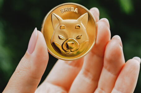 Shiba Inu Holder Count Soars to New Historic Peak: WhaleStats