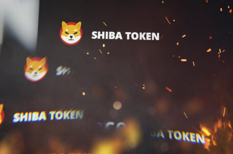 22 Million Shiba Inu Burned in Last 24+ Hours, 917 Million Tokens Gone Within Week: Details