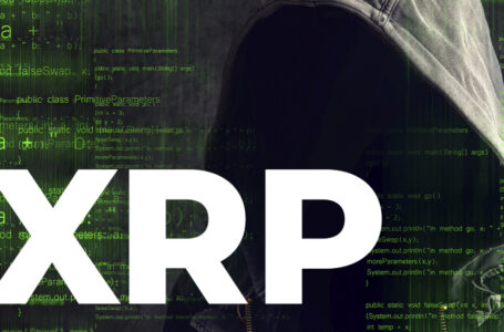 Unknown Wallets Moved $30 Million Worth of XRP Before Major Market Plunge