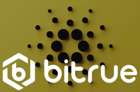 Big Cardano News Is in the Works, Says Bitrue Cryptocurrency Exchange: Details