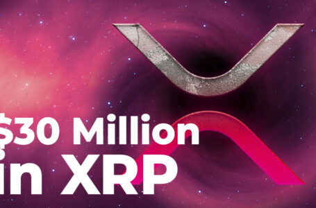 Anon Whale Moves Close to $30 Million in XRP, While Coin Rises 9.21%